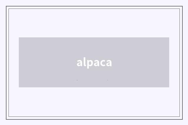alpaca
