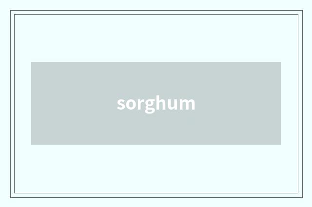 sorghum