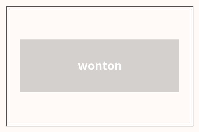 wonton