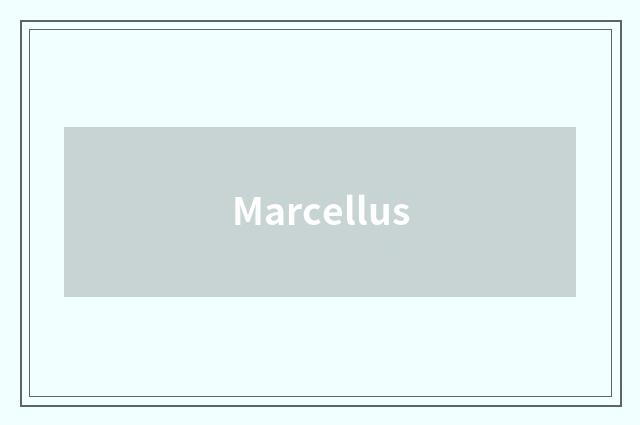 Marcellus