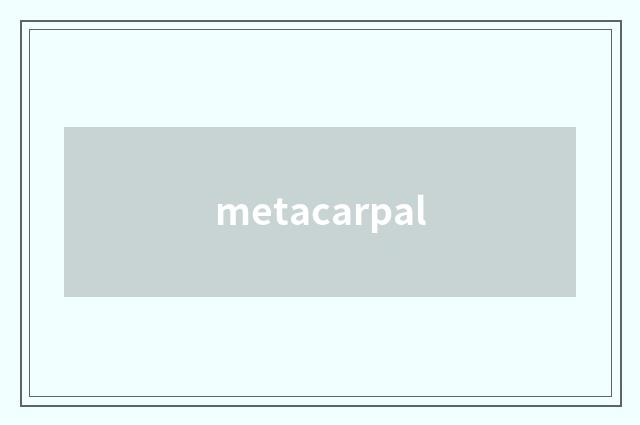 metacarpal