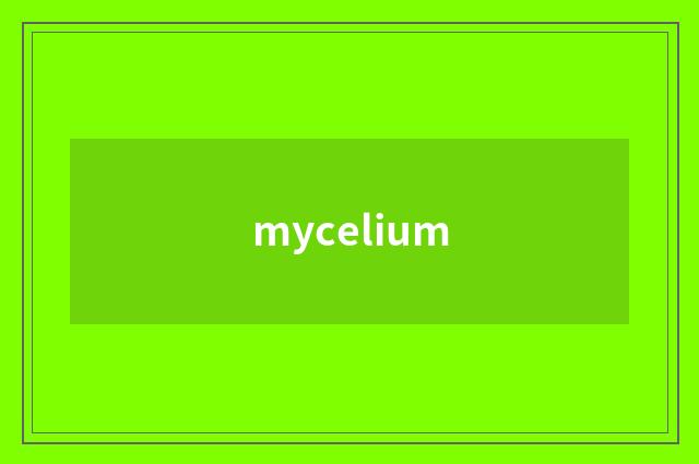 mycelium