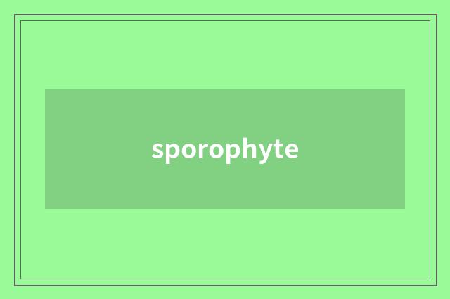 sporophyte