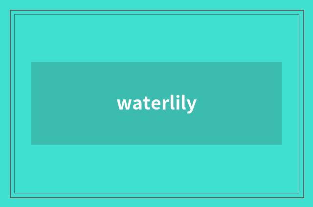 waterlily