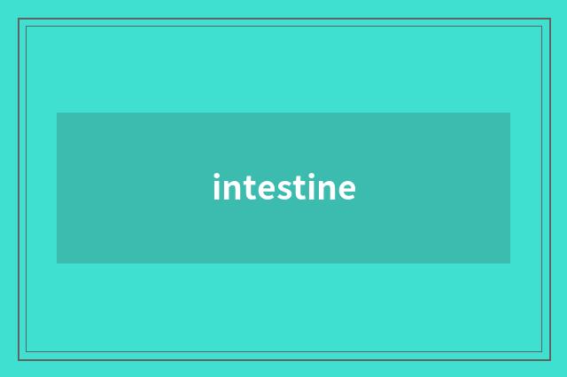 intestine