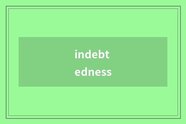 indebtedness