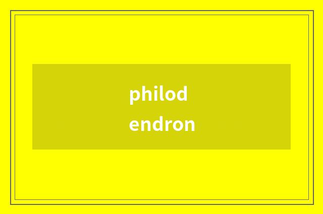 philodendron