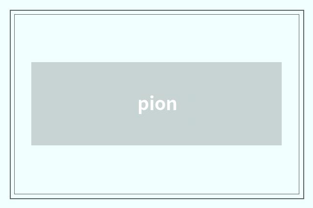 pion