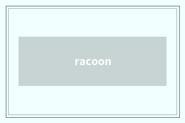 racoon