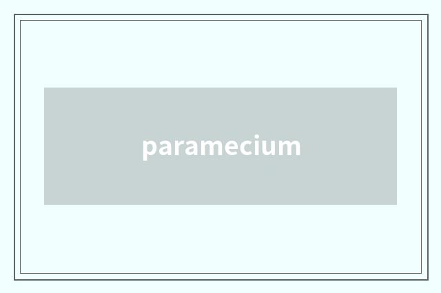 paramecium