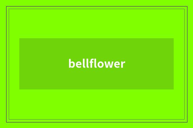 bellflower