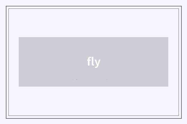 fly