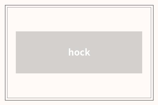 hock