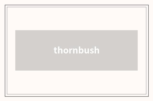 thornbush