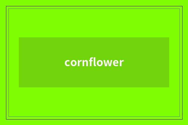cornflower