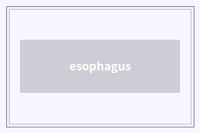 esophagus