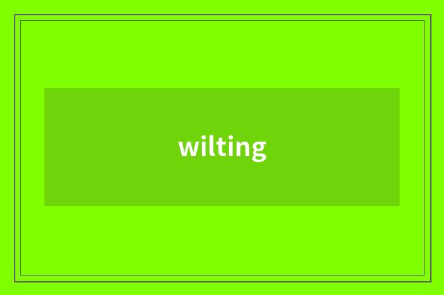 wilting