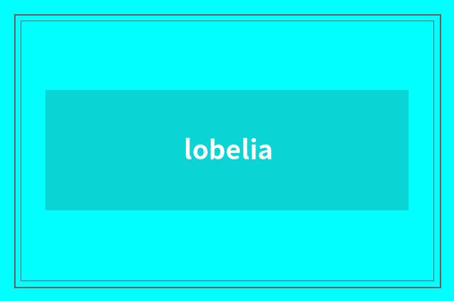 lobelia