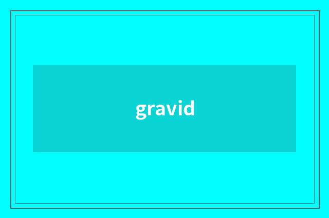 gravid
