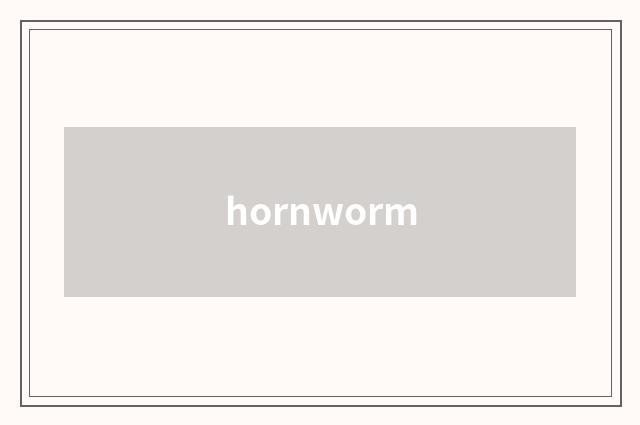 hornworm