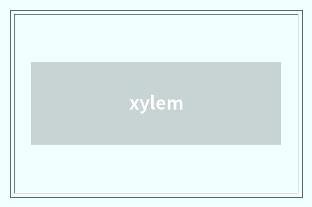 xylem