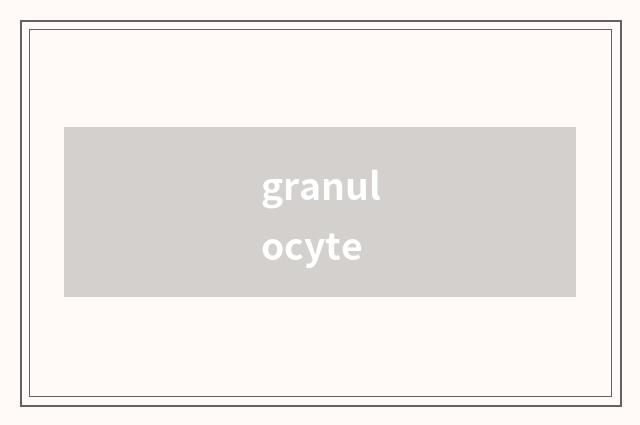 granulocyte