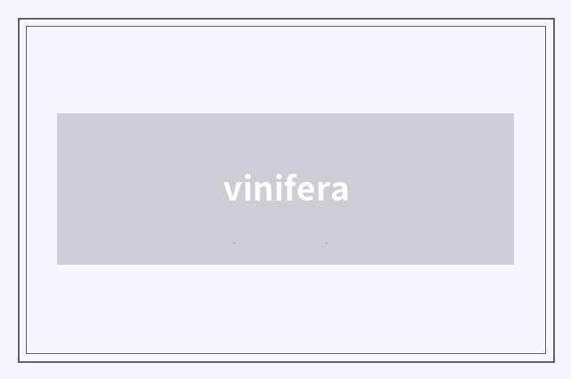vinifera