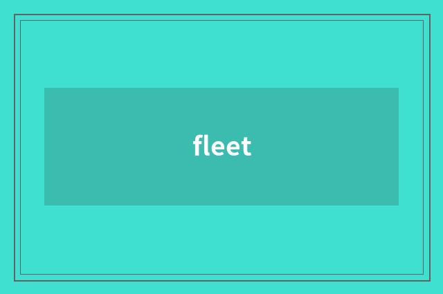 fleet