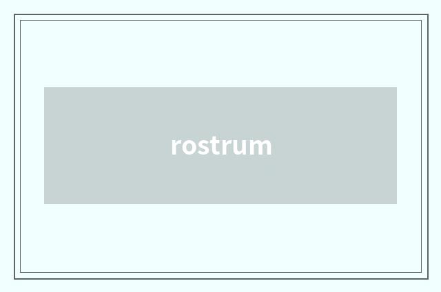 rostrum