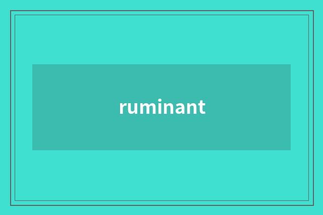 ruminant