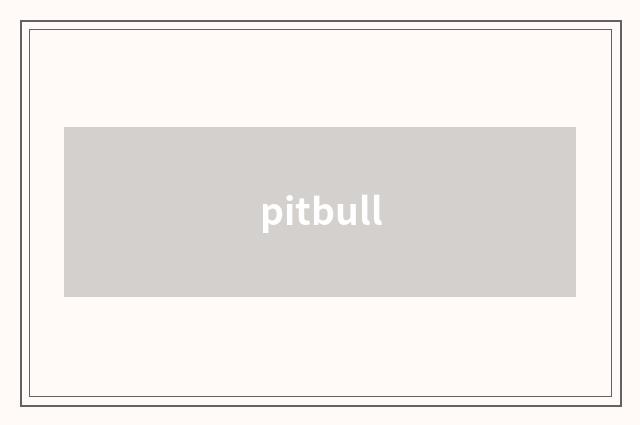 pitbull