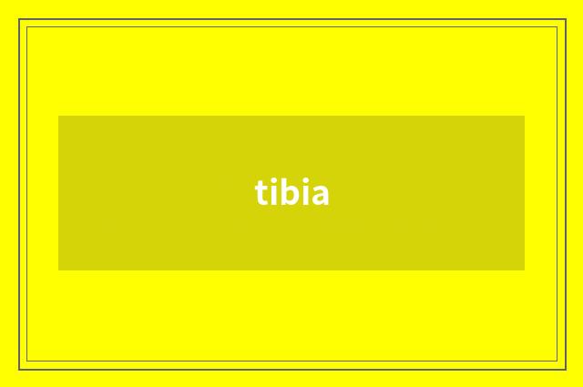 tibia