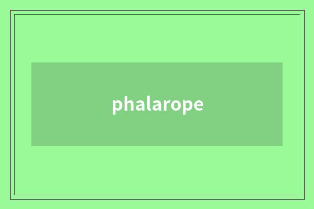 phalarope