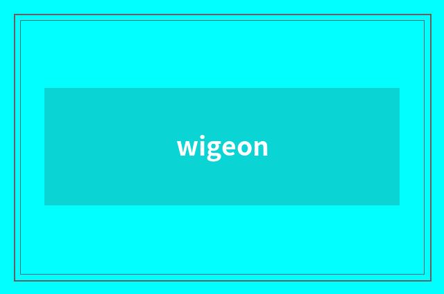 wigeon
