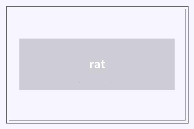 rat