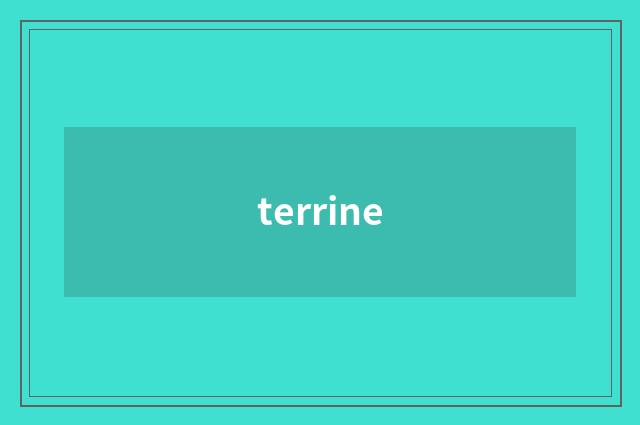 terrine