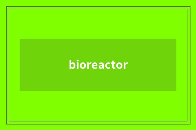 bioreactor