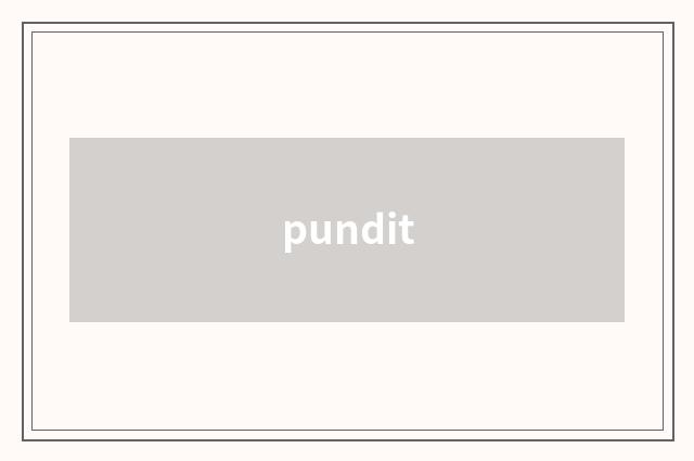 pundit