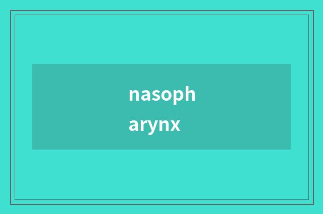 nasopharynx