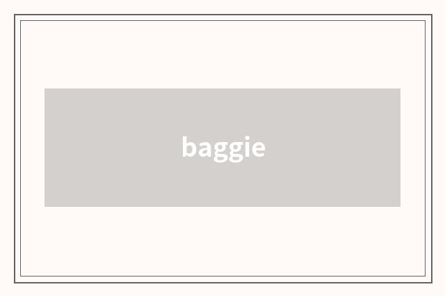 baggie