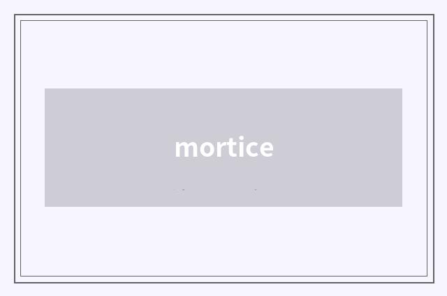 mortice