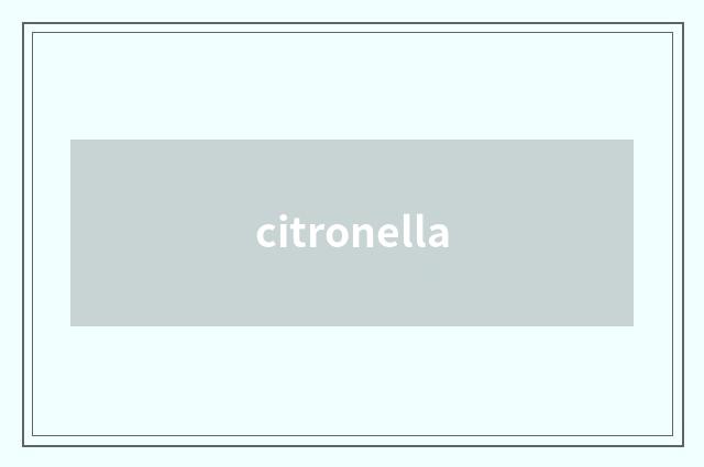 citronella