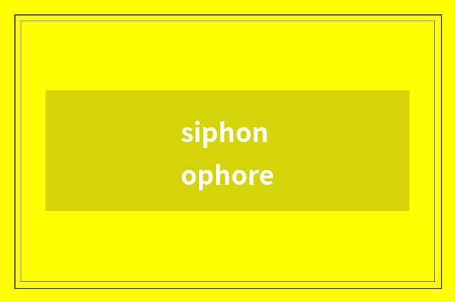 siphonophore