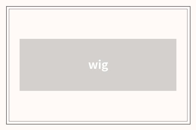 wig