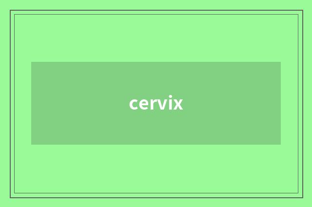 cervix
