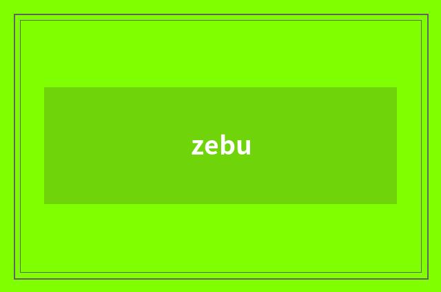 zebu