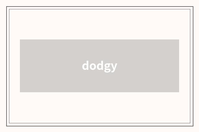 dodgy