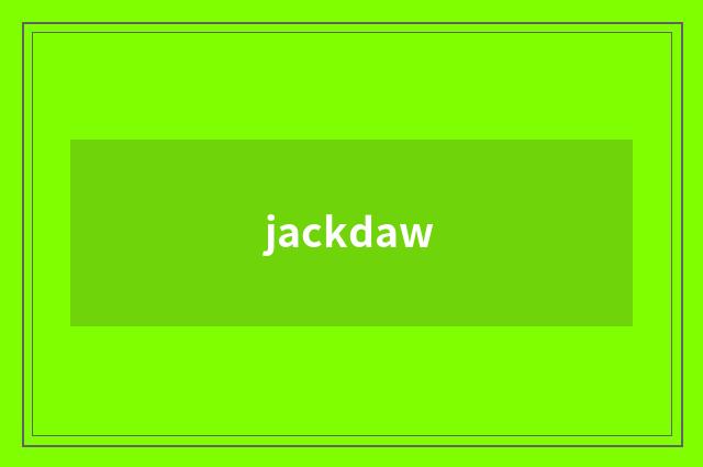 jackdaw