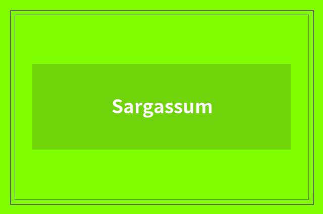 Sargassum