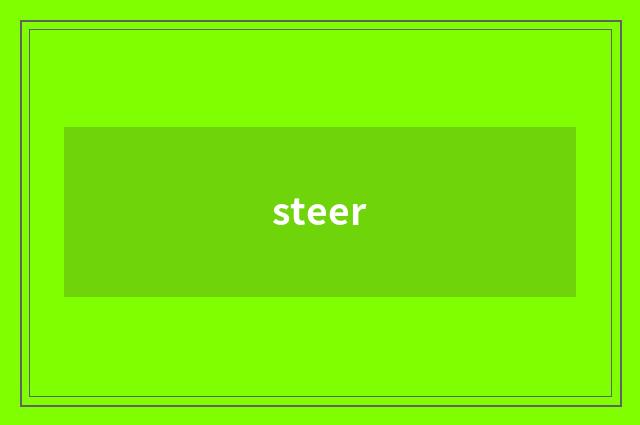steer
